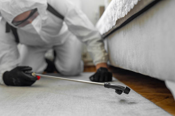 Professional Termite Control technician working in Mansura, LA