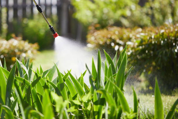24/7 Emergency Termite Control experts in Mansura, LA