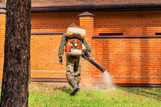 Top rated local Termite Control specialists in Mansura, LA